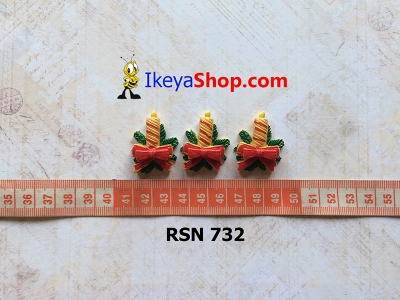 rsn 732  large2